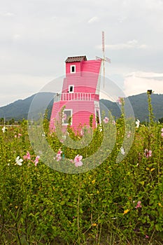 Beautiful flower garden with winmill photo
