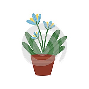 Beautiful flower with green leaves in brown ceramic pot. Small decorative houseplant. Flat vector element for home decor