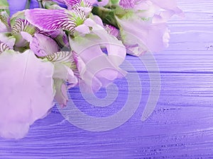 Beautiful flower iris on blue wooden decoration background frame