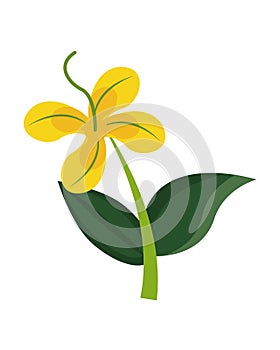 Beautiful flower with leafs seasonal icon