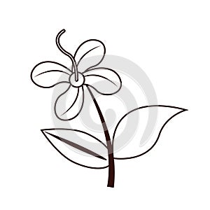 Beautiful flower with leafs seasonal icon