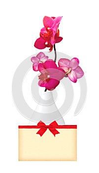 Beautiful flower Orchid, pink phalaenopsis in vase and card