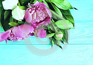 Beautiful flower peony on blue wooden background frame