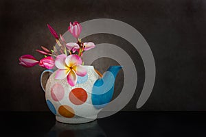 Beautiful flower plumeria or frangipani in teapot
