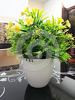 Beautiful flower pot in home