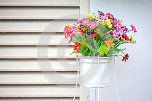 Beautiful Flower pot