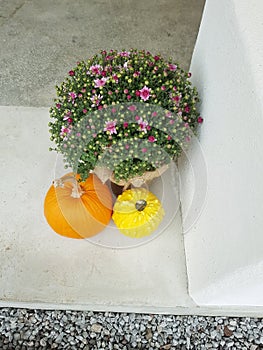 Beautiful flower and pumpkin arrangement