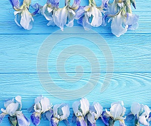 Beautiful flower romance decorative summer of iris on a blue wooden background