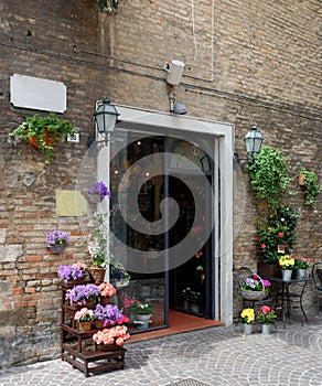 Beautiful flower shop in a small Tuscan town