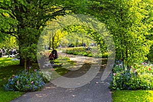 Beautiful flower tulip park garden with people nature Lisse Netherlands