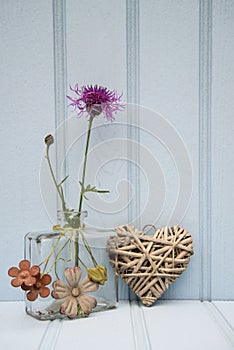 Beautiful flower in vase with heart still life love concept