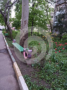 Beautiful flowerbeds in gardens of a house in Odessa, Ukraine