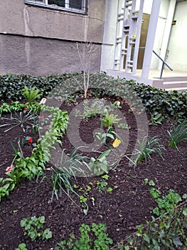 Beautiful flowerbeds in gardens of a house in Odessa, Ukraine