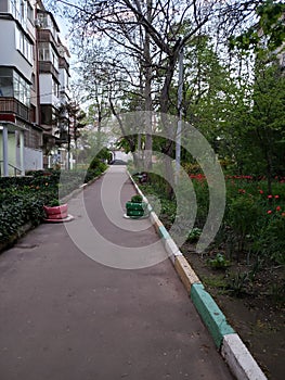 Beautiful flowerbeds in gardens of a house in Odessa, Ukraine