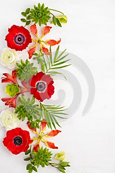 Beautiful Flowers Arrangement. Composition of red anemone,white ranunculus, tropical flowers, green succulent and leaves on light