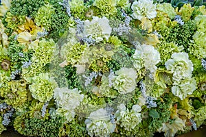 Beautiful flowers background. Bouquet of green carnations.