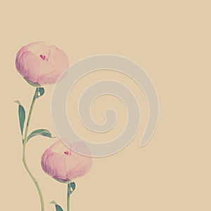 Beautiful Flowers Background with Copy space