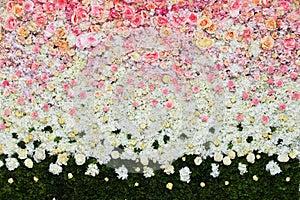 Beautiful flowers background for wedding