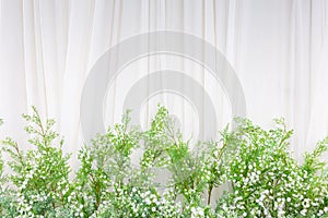 Beautiful flowers background for wedding scene on background