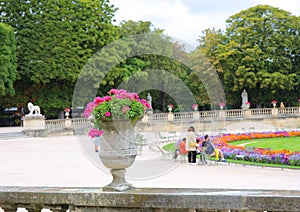 Beautiful flowers blooming in the Luxembourg gardens in paris
