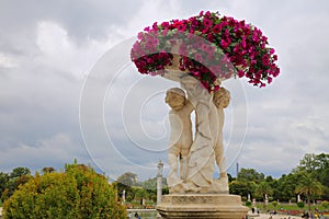 Beautiful flowers blooming in the Luxembourg gardens in paris