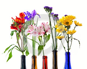 Beautiful flowers in colorful bottles