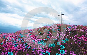 Beautiful flowers with cross