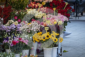 Beautiful flowers at the Cvijetni trg, famous square in the centre of Zagreb city where all sorts of flowers are sold daily
