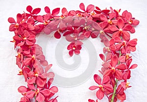 Beautiful flowers on fabric background