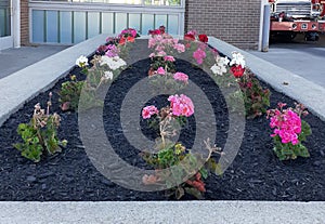 Beautiful flowers fire station