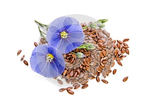 Beautiful flowers of flax with seeds