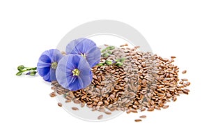 Beautiful flowers of flax with seeds