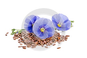 Beautiful flowers of flax with seeds