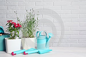 Beautiful flowers and gardening tools on wooden table near white brick wall, space for text