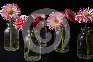 beautiful Flowers in glass vases on black background