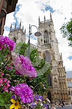 Beautiful flowers and lamp post in the foreground with York Minster Cathedral in the background on a summer day in Yorkshire, Engl