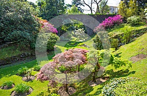 Beautiful flowers landscape in the botanical garden of Villa Taranto in Pallanza, Verbania, Italy.