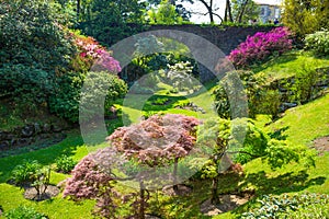 Beautiful flowers landscape in the botanical garden of Villa Taranto in Pallanza, Verbania, Italy.