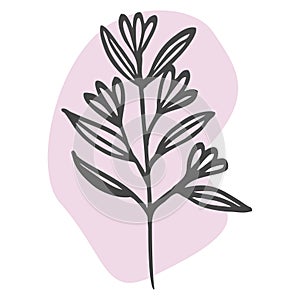 Beautiful Flowers and Leaves on pink spot isolated on white background. Line art Vector Botany Branch Illustration. Decorative