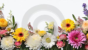 Beautiful flowers and leaves on white background copy space. Floral border, Nature and summer plants