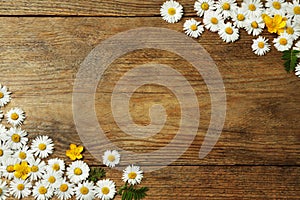 Beautiful flowers and leaves on wooden table, flat lay. Space for text