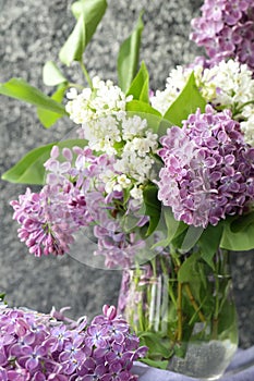 beautiful flowers lilac white and lilac