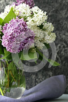 beautiful flowers lilac white and lilac