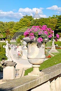 Beautiful flowers at the Luxembourg Garden in Paris