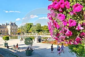 Beautiful flowers at the Luxembourg Garden in Paris