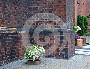 Beautiful flowers near red brick wall