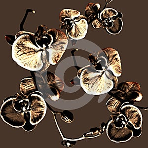 Beautiful flowers pattern