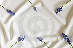 Beautiful flowers pattern on white background. Minimalistic floral concept. Creative still life spring, summer