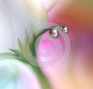 Beautiful flowers reflected in the water, artistic concept. Tranquil abstract closeup art photography. Floral fantasy design.