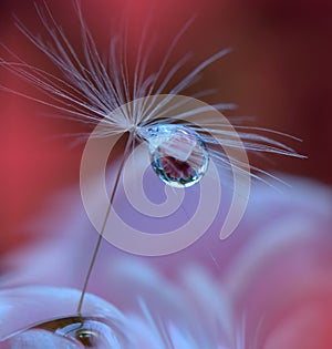 Beautiful flowers reflected in the water,artistic concept.Tranquil abstract closeup art photography.Floral fantasy design.